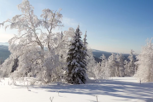 Iarna în munți — Fotografie, imagine de stoc