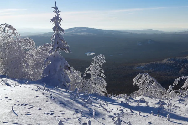 Inverno nas montanhas — Fotografia de Stock