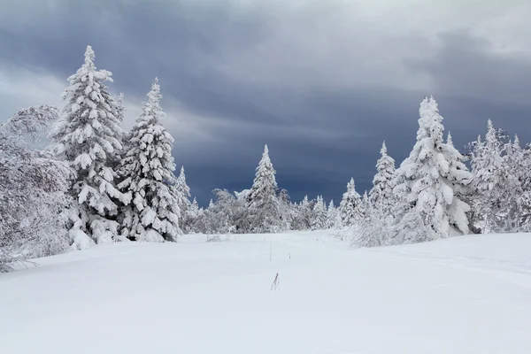 Зима в горах — Безкоштовне стокове фото