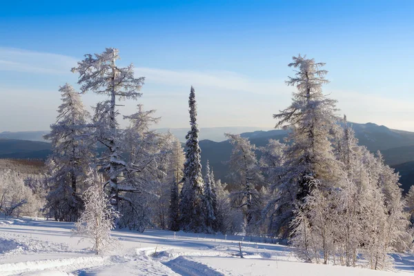 Winter in den Bergen — Stockfoto