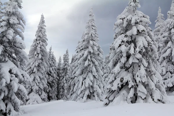Inverno nas montanhas — Fotos gratuitas