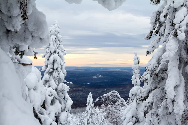 Invierno en las montañas — Foto de Stock