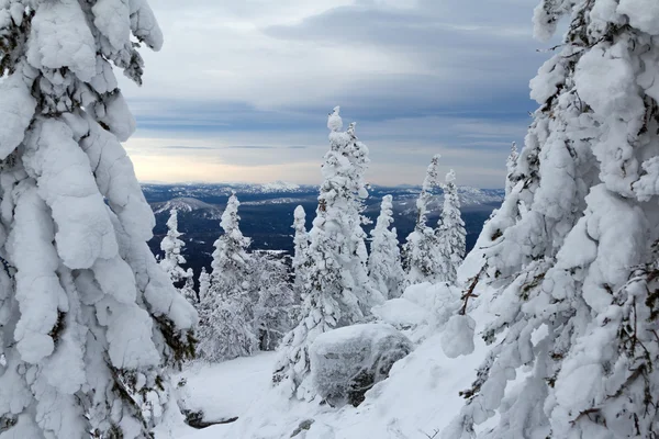 Inverno nas montanhas — Fotografia de Stock