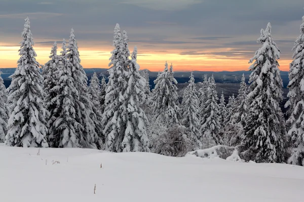 Invierno en las montañas Imagen De Stock