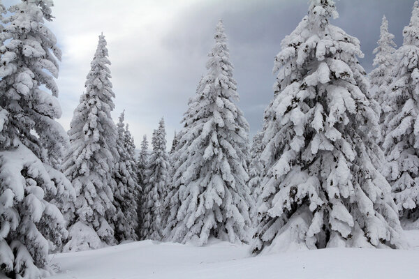 Winter in the mountains — Stock Image Winter in the mountains — Stock Photo, Image