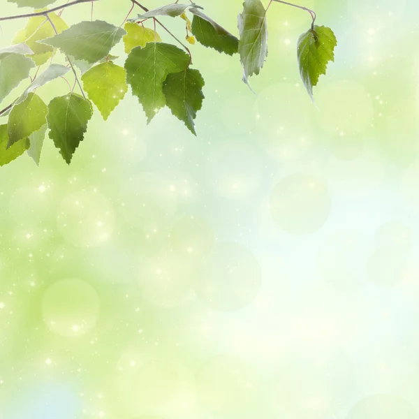 Spring background. — Stock Photo, Image