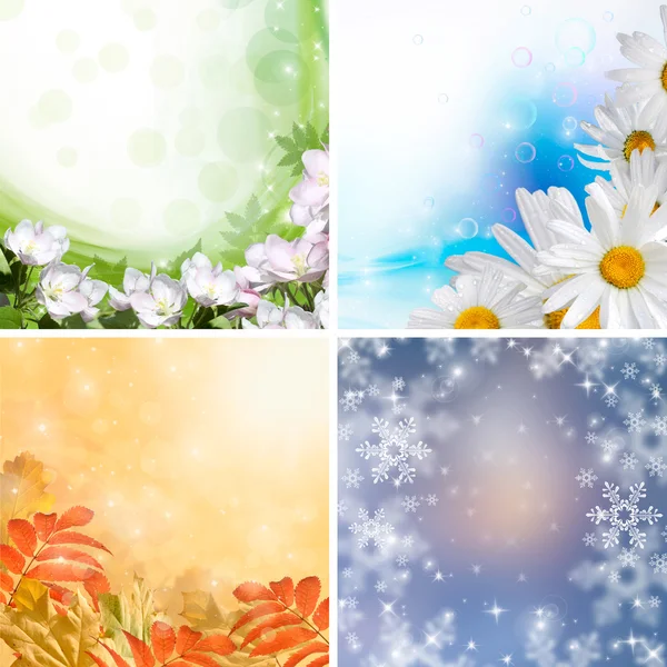 Four seasons — Stock Photo, Image