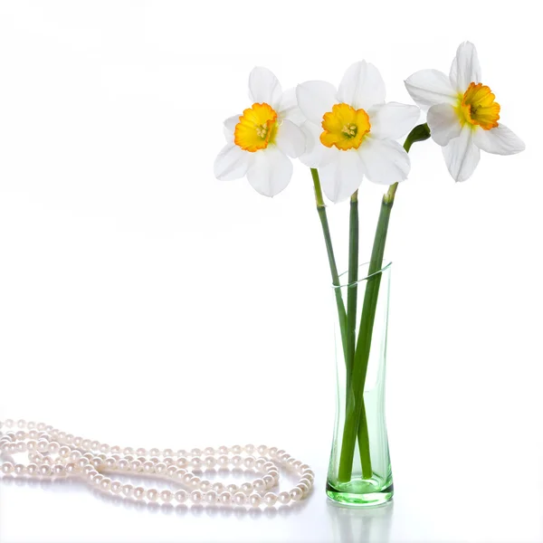 白地にカラフルな花瓶に 3 つの水仙. — ストック写真