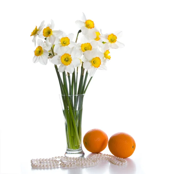 Buquê de Daffodils — Fotografia de Stock