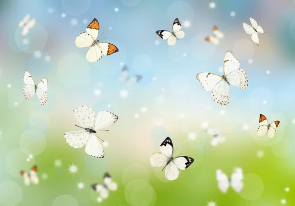3D kelebekler — Stok fotoğraf