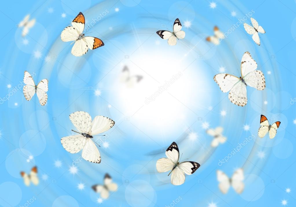 Butterflies 3D