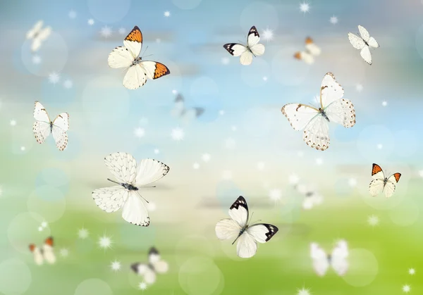 3D kelebekler — Stok fotoğraf