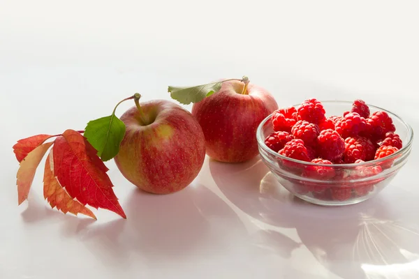 Bagas e frutos de outono . — Fotografia de Stock