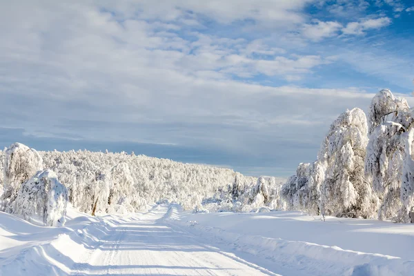 Camino de invierno en las montañas — Foto de Stock