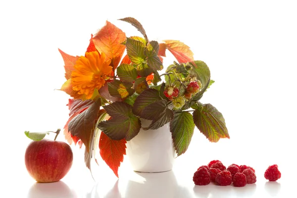 Podzimní zátiší s jablky — Stock fotografie