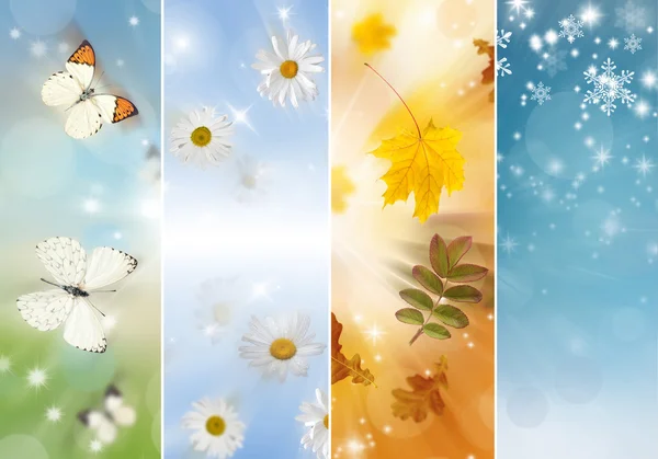 Collage of four seasons — Stock Photo, Image