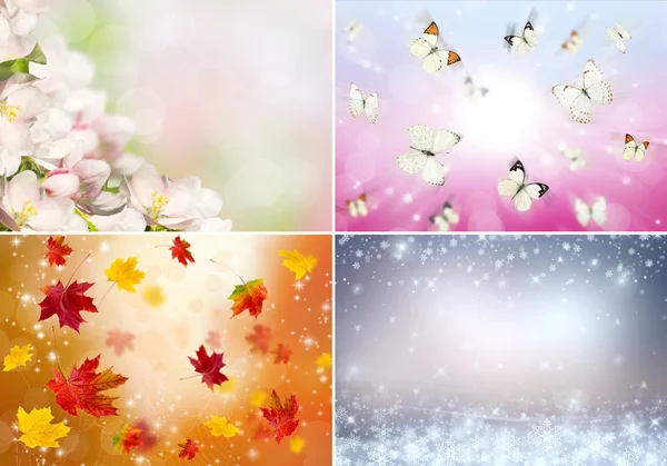 Collage of four seasons — Stock Photo, Image