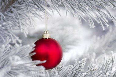 Çam dalında Noel süslemeleri