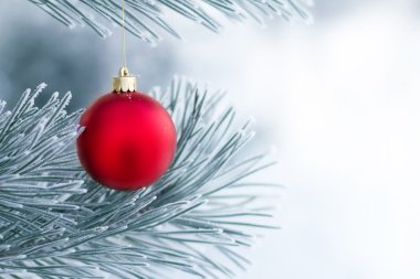 Çam dalında Noel süslemeleri