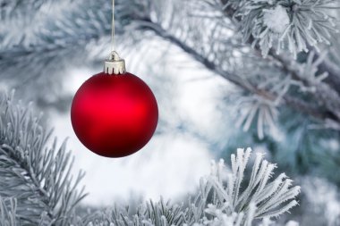 Çam dalında Noel süslemeleri