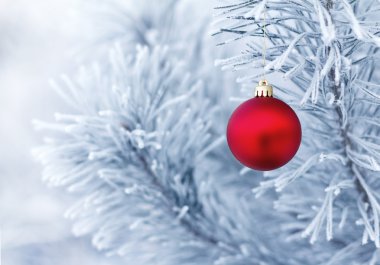 Çam dalında Noel süslemeleri