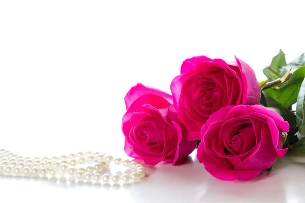 3 핑크 장미 — 스톡 사진