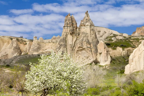 Rocce tufo Cappadocia . — Foto Stock