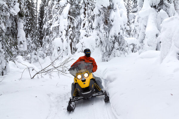 Athlete on a snowmobile