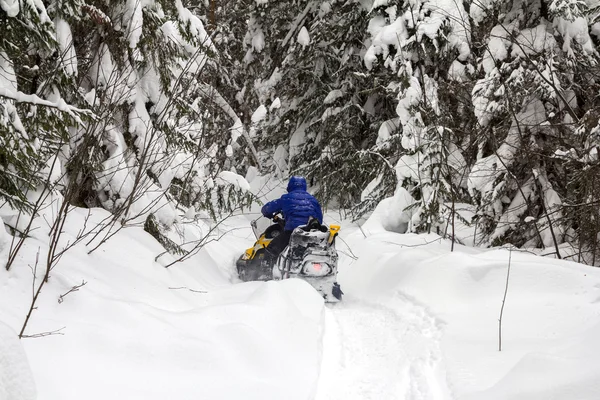 Mulher em um snowmobile — Fotografia de Stock