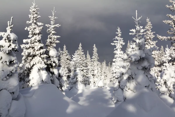 Winter in de bergen — Stockfoto