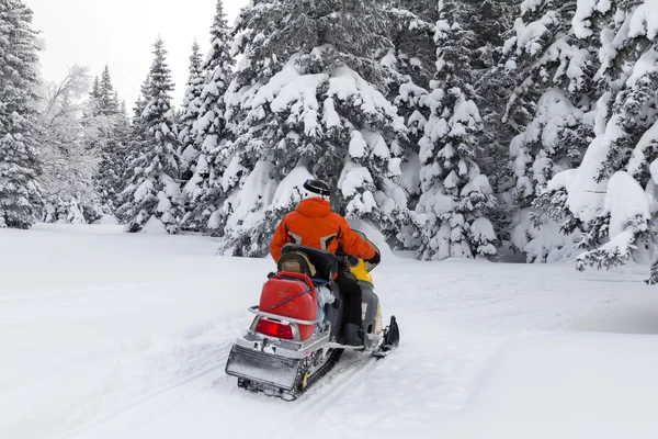 Atleta en una moto de nieve. —  Fotos de Stock