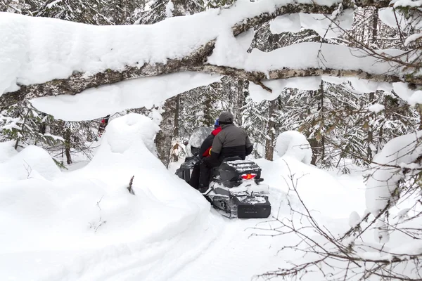 Αθλητές σε ένα snowmobile — Φωτογραφία Αρχείου