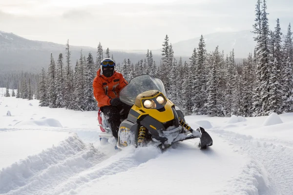 Kar motosikletinde bir atlet. — Stok fotoğraf