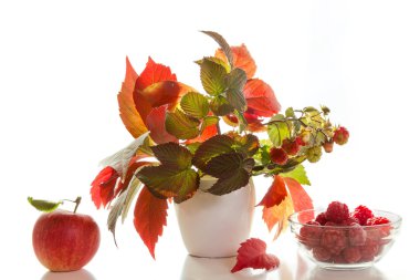 Sonbahar buket ve ahududu.