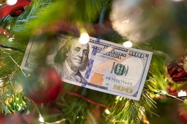 One Hundred Dollar Bill Christmas Tree Branch Concept — Stock Photo, Image