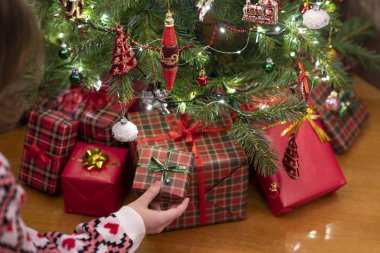 Hediye kutusunu Noel ağacının altına koyan kadın. Aile için hediyeler. 