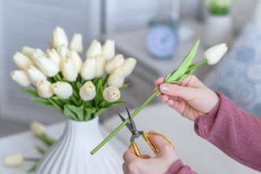 Çiçek kesen ve oturma odasındaki kahve masasına vazo koyan kadın çiçekçinin kırpılmış görüntüsü. Buket hazırlanıyor. 