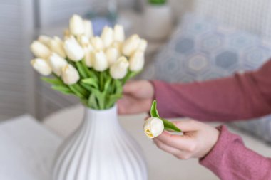 Beyaz laleleri vazoya koyan kadın oturma odasındaki kahve masasında oturuyor. Buket besteliyorum. Yaşam biçimi