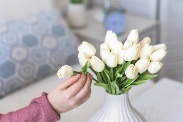 Egy Fehér Tulipánokat Tesz Vázába Nappali Dohányzóasztalánál Ülve Szerkesztő Csokor — Stock Fotó