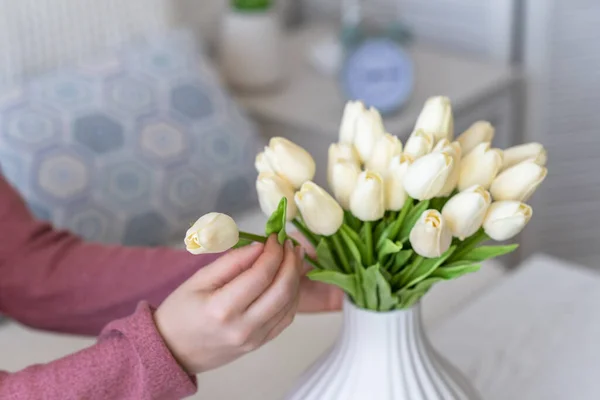 Egy Fehér Tulipánokat Tesz Vázába Nappali Dohányzóasztalánál Ülve Szerkesztő Csokor — Stock Fotó