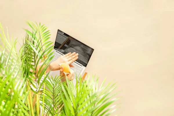 Kobieta Laptopem Nakładającym Krem Filtrem Skórę Siedzącą Pod Palmami Piasku — Zdjęcie stockowe
