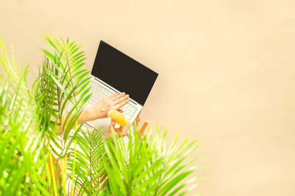 Kobieta Laptopem Nakładającym Krem Filtrem Skórę Siedzącą Pod Palmami Piasku — Zdjęcie stockowe