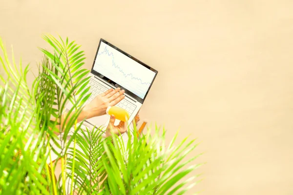 Biznes Kobieta Freelancer Stosowania Ochrony Przeciwsłonecznej Skórze Siedzi Pod Palmami — Zdjęcie stockowe