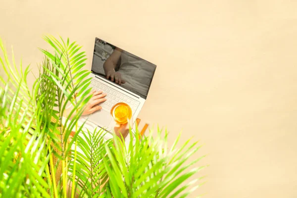 Kobieta Blogger Laptopem Trzymając Szklankę Wody Kawałkiem Pomarańczy Siedzi Pod — Zdjęcie stockowe