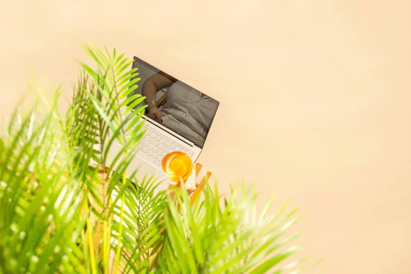 프리랜서가 오렌지 조각을 해변의 야자나무 밑에서 노트북으로 일하고 방학이야 위에서 — 스톡 사진