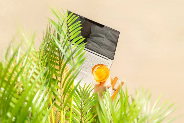 프리랜서가 오렌지 조각을 해변의 야자나무 밑에서 노트북으로 일하고 방학이야 위에서 — 스톡 사진