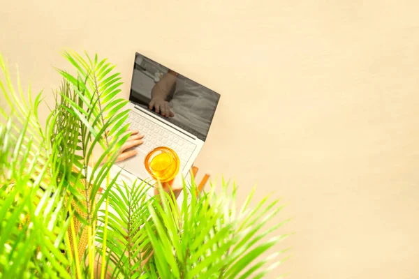 Samotna Kobieta Freelancer Trzyma Szklankę Wody Kawałkiem Pomarańczy Pracując Laptopie — Zdjęcie stockowe