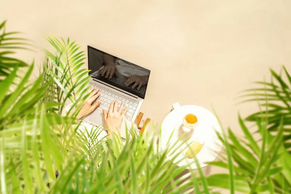 Kobieta Freelancer Laptopem Siedzi Pod Gałęziami Palmy Filtr Przeciwsłoneczny Sok — Zdjęcie stockowe
