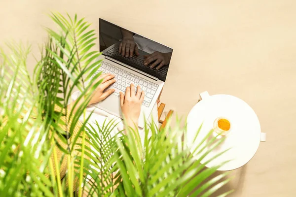 Kobieta Freelancer Laptopem Trzymając Szklankę Wody Kawałkiem Pomarańczy Siedzi Pod — Zdjęcie stockowe