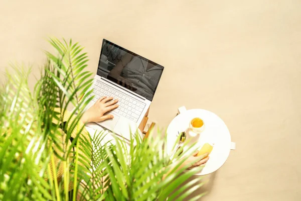 Kobieta Freelancer Laptopem Siedzi Pod Gałęziami Palmy Okulary Przeciwsłoneczne Sok — Zdjęcie stockowe
